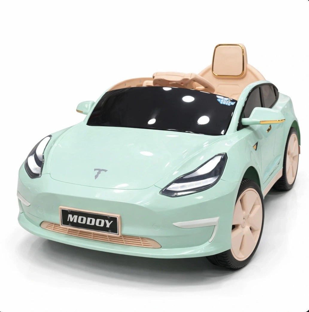 Tahito Toys Tesla car model in black with detailed exterior, showcasing sleek design and realistic features.